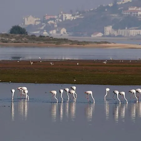 בית נופש Serenity - Between Golf And The Sea